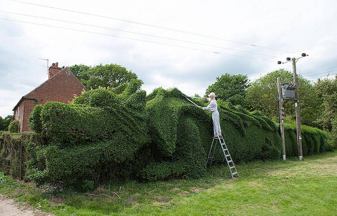 Beautiful Giant Dragon in an English Garden