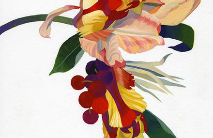 Beautiful Painted Illustrations of Flowers and Plants