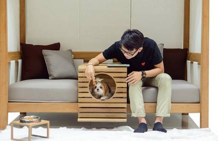 Modular Sofa Integrating a Pet Compartment