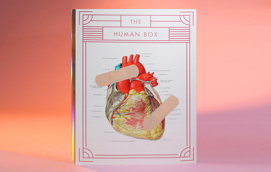 humanbox-12