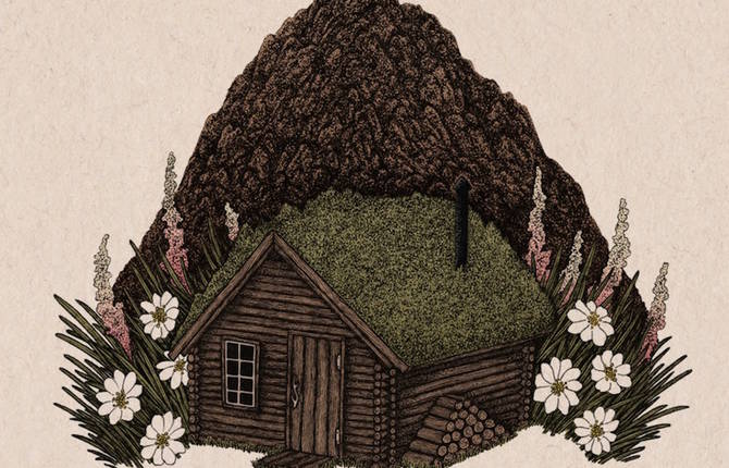 Inspiring and Delicate Wild Nature Illustrations