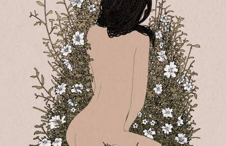 Inspiring and Delicate Wild Nature Illustrations