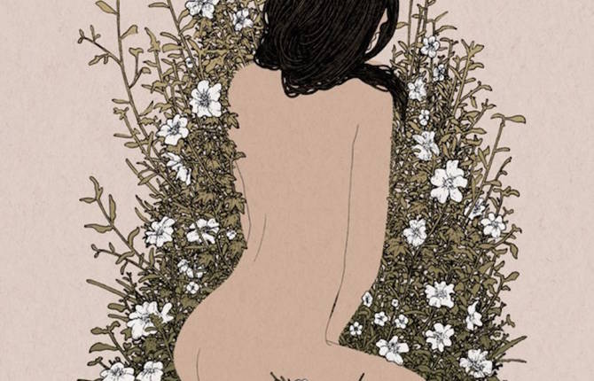 Inspiring and Delicate Wild Nature Illustrations