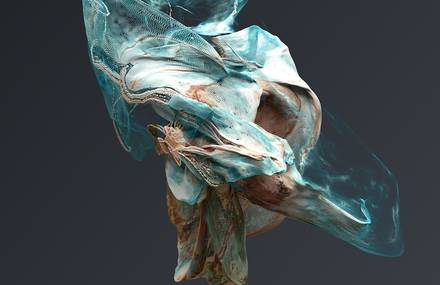 Organic Digital Sculptures by Jon Noorlander