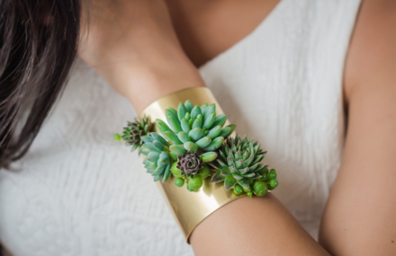 Jungle Plants Jewellry Collection