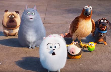The Secret Life of Pets Trailer 2
