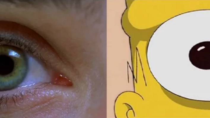 The Simpsons Movie References