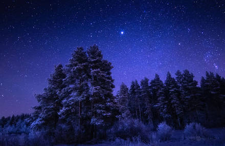 Amazing Starry Nights Photography