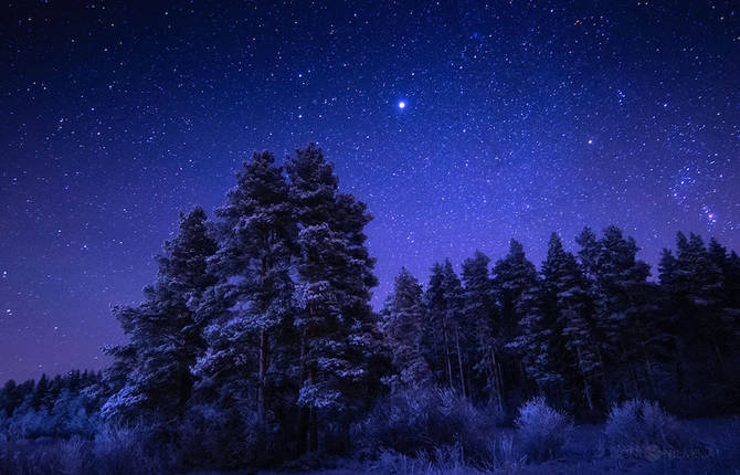 Amazing Starry Nights Photography