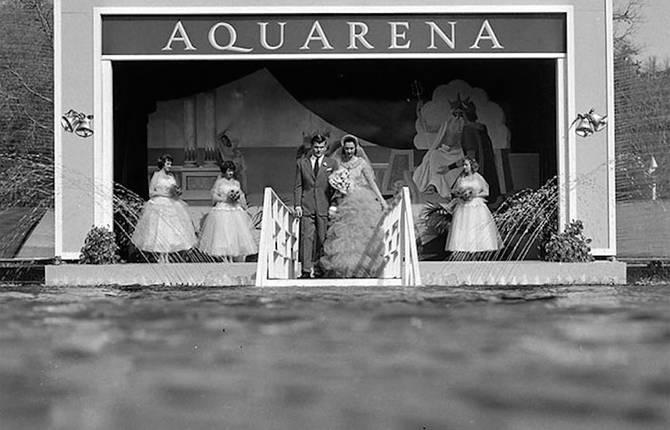 Beautiful Underwater Wedding of a Couple in the 50’s