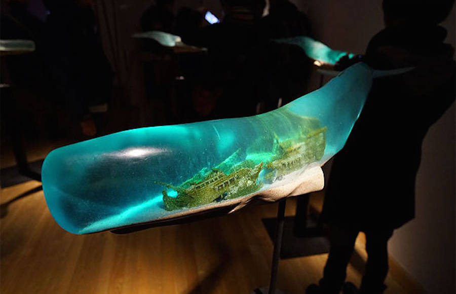 Wonderful Ocean Scenes Inside Translucent Whale Sculptures