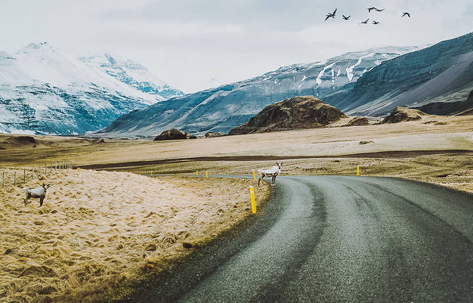 16 Months on the Captivating Roads of Iceland