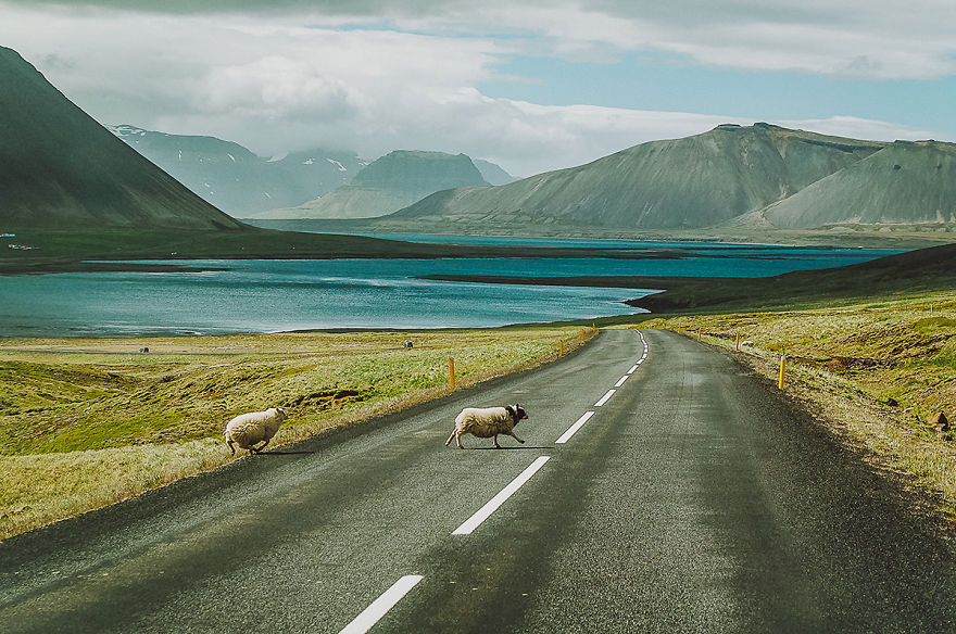 16 Months on the Captivating Roads of Iceland-9