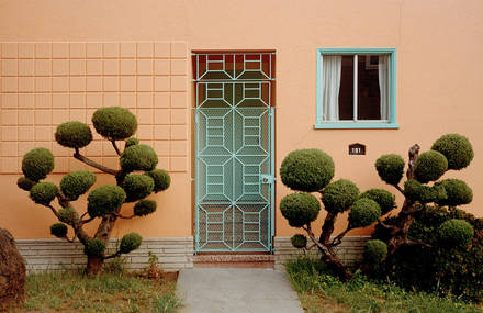 A Photographical Trip to California Via Its Gardens