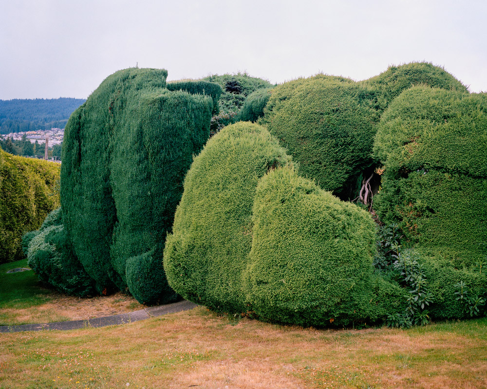 A Photographical Trip to California Via Its Gardens-7