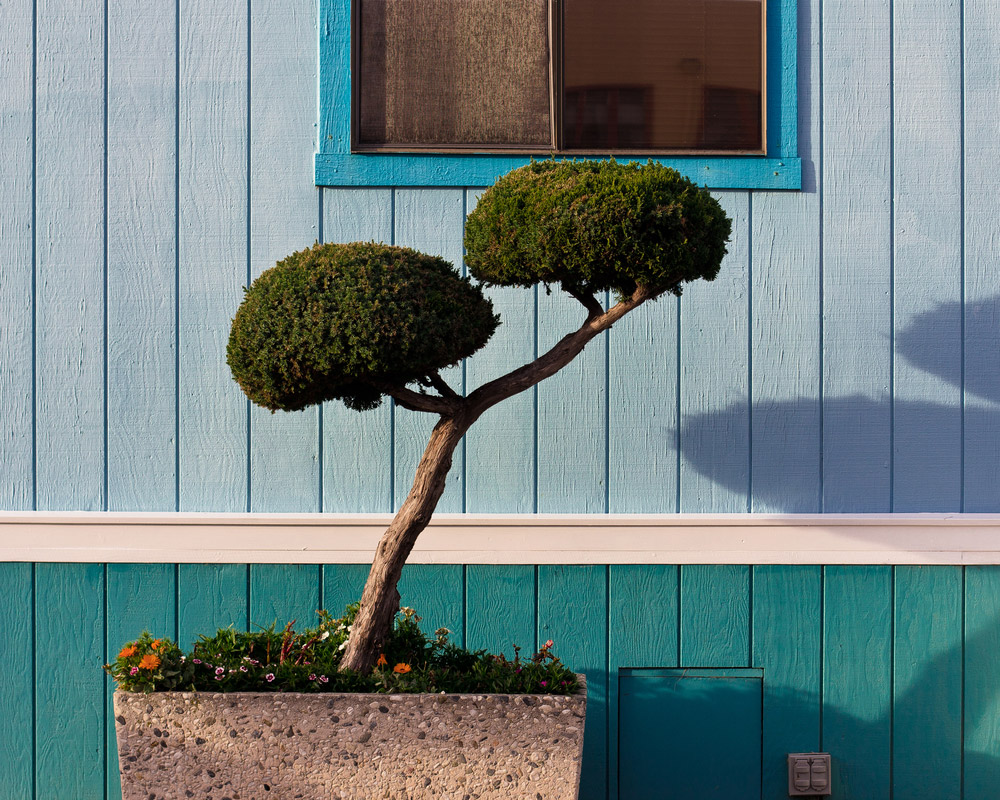 A Photographical Trip to California Via Its Gardens-9