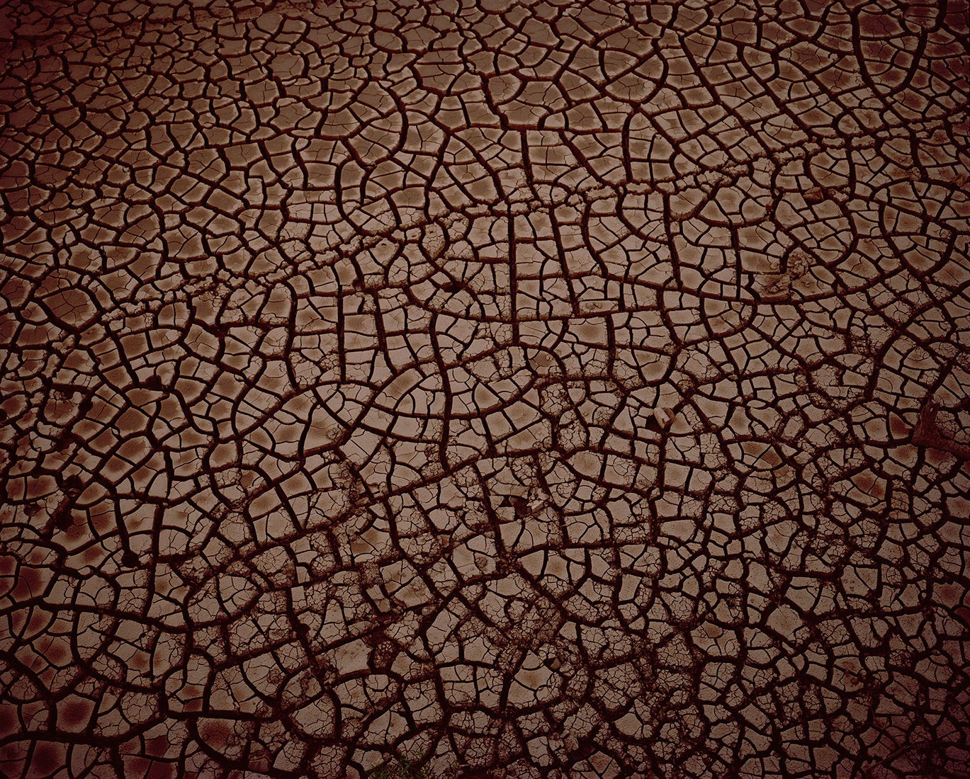 Aerial Photographs of Cotton Farming in Arizona-7