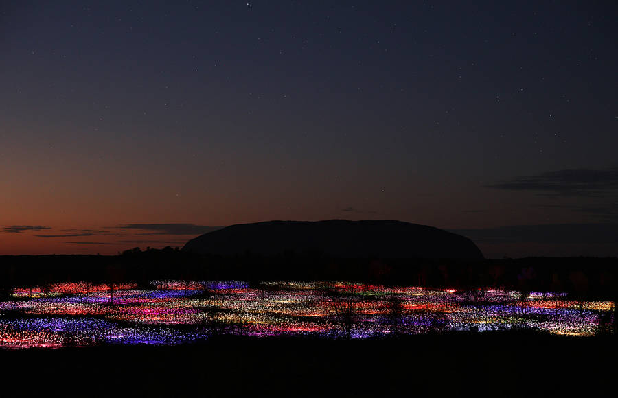 Amazing Field of Lights Installations