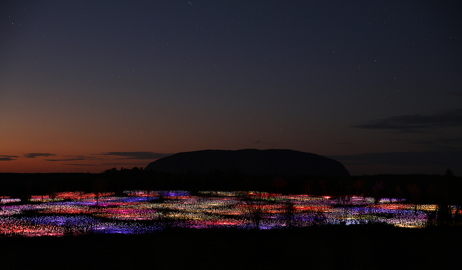 Amazing Field of Lights Installations1