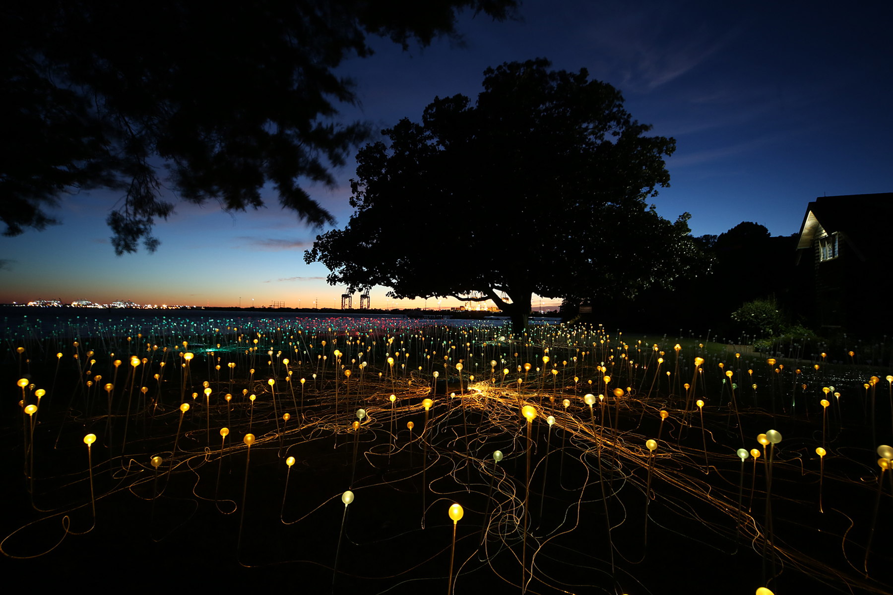 Amazing Field of Lights Installations10