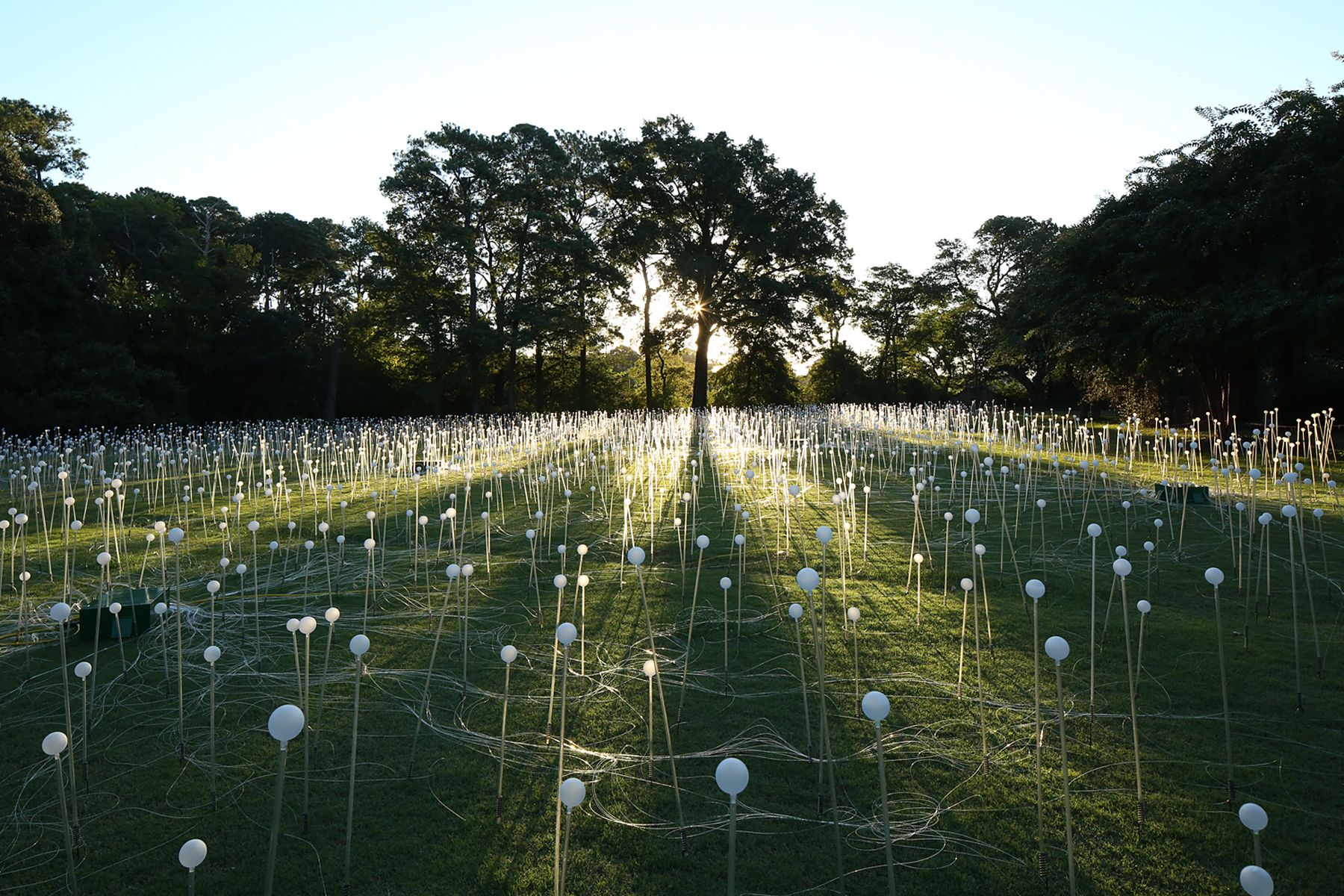 Amazing Field of Lights Installations12