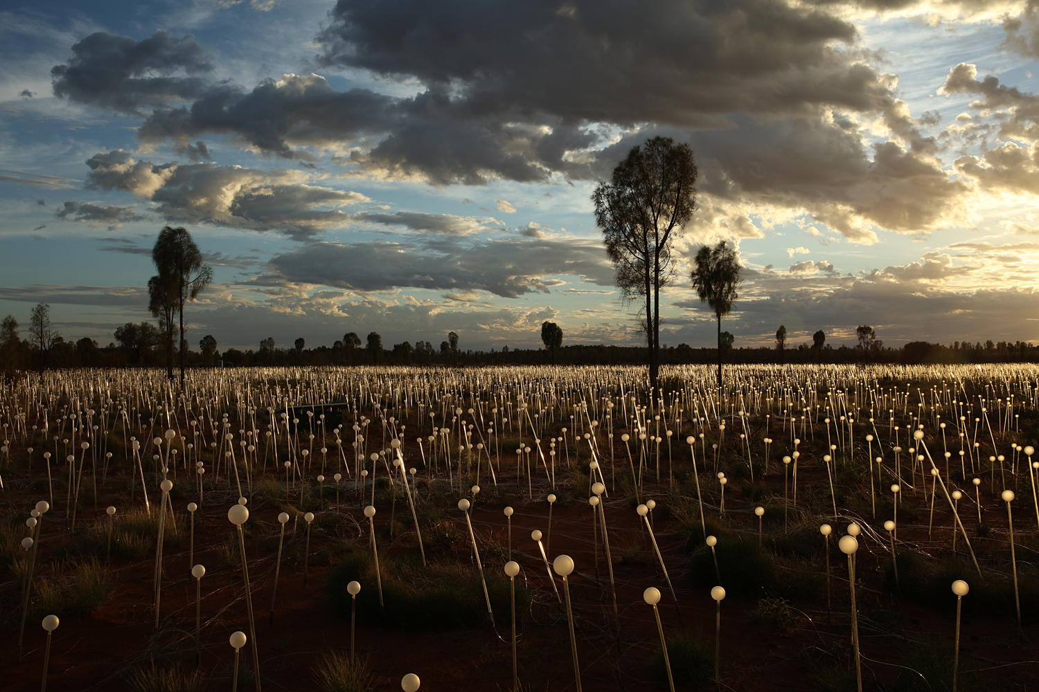 Amazing Field of Lights Installations13