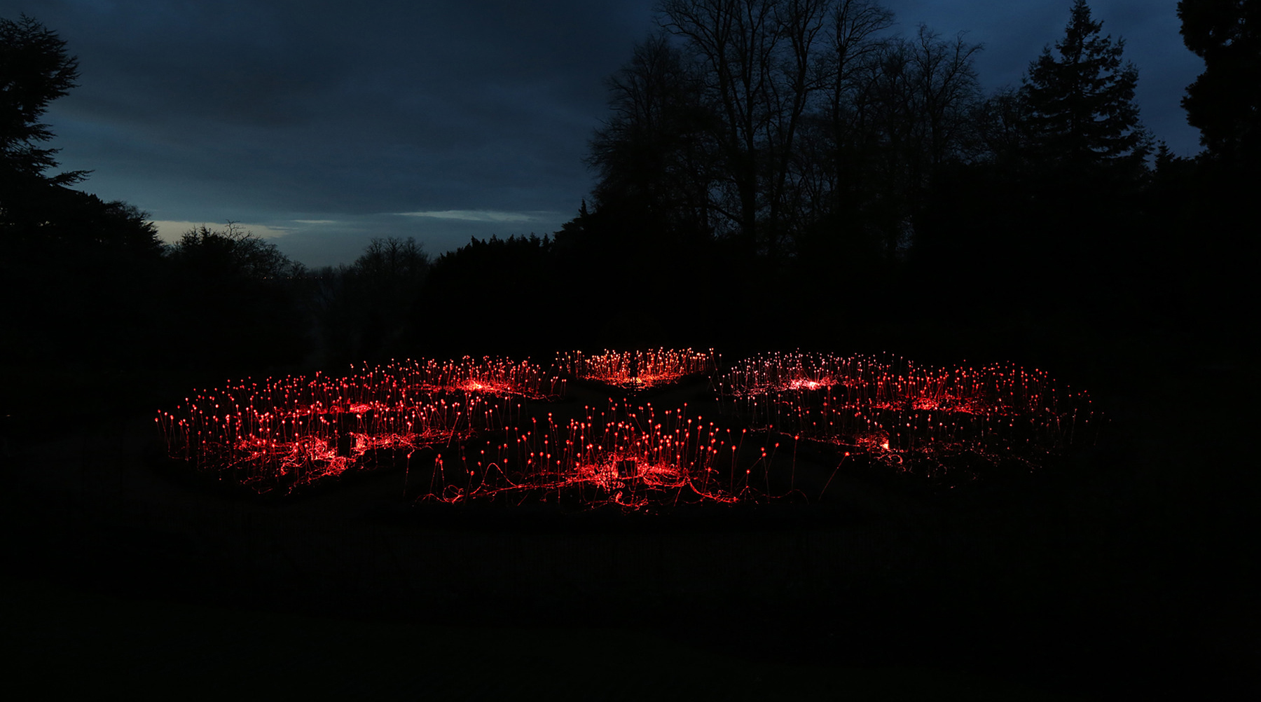 Amazing Field of Lights Installations2s