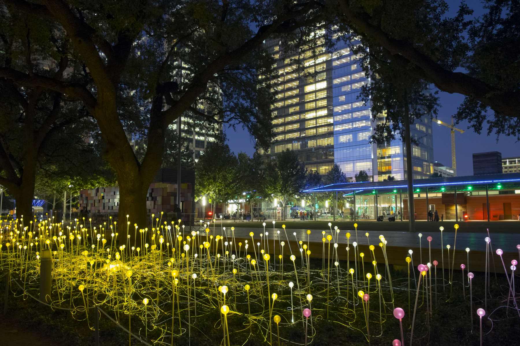 Amazing Field of Lights Installations5