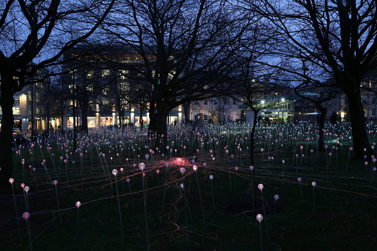 Amazing Field of Lights Installations9