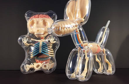 Balloon Animals Revealing Anatomical Details