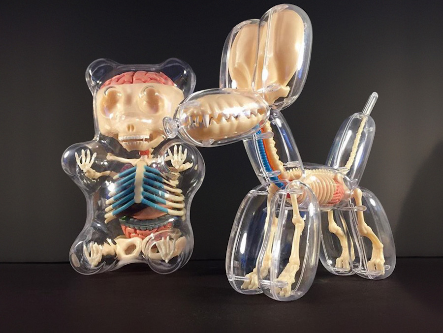 Balloon Animals Filled with Anatomical Details1
