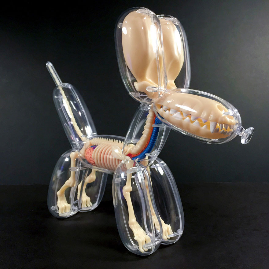 Balloon Animals Filled with Anatomical Details2