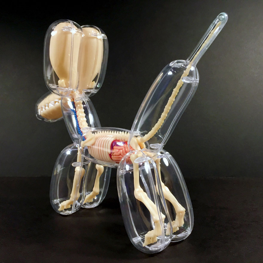 Balloon Animals Filled with Anatomical Details3