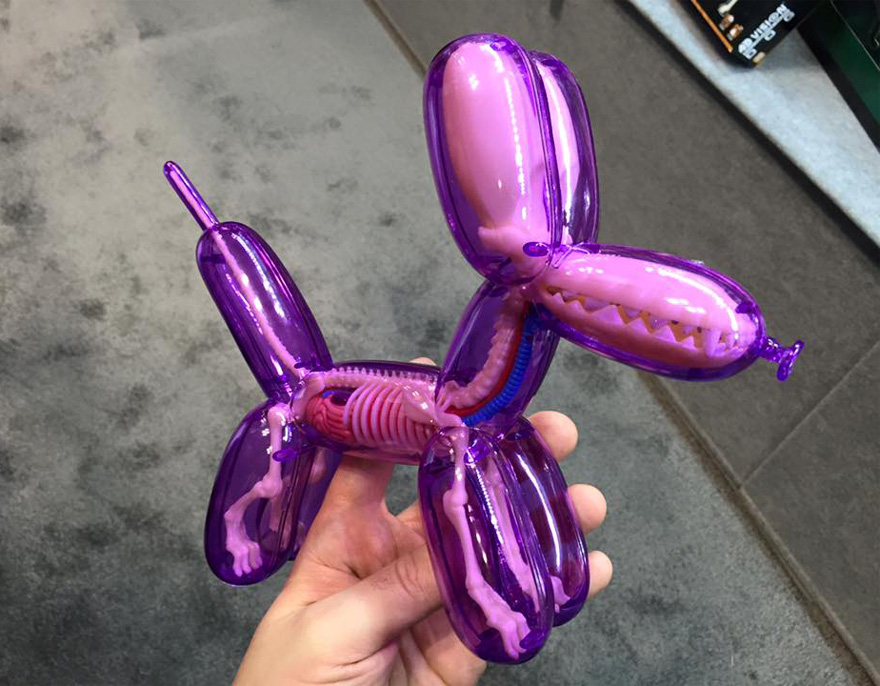 Balloon Animals Filled with Anatomical Details4