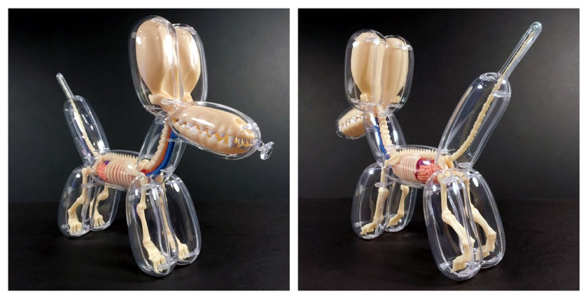Balloon Animals Filled with Anatomical Details9