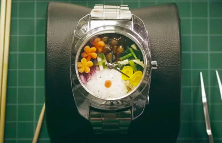 Bento Watch