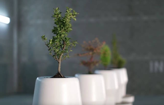 Bios Incube Afterlife Urn