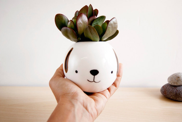 Cute Ceramic Pots and Cups-3