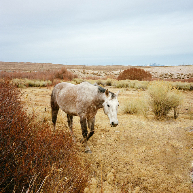 Deserted and Nostalgic Landscapes by Sinziana Velicescu-8