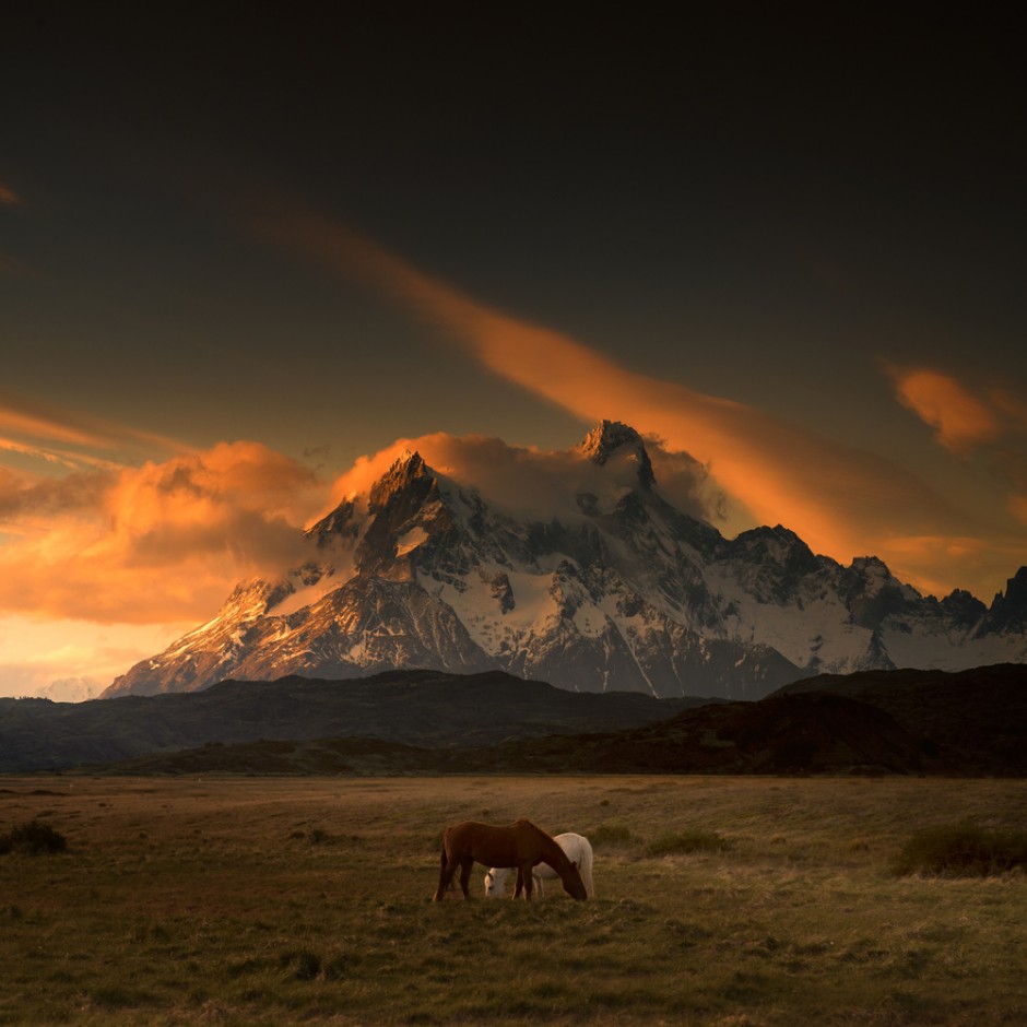 Enchanting Pictures of Wild Patagonia-3