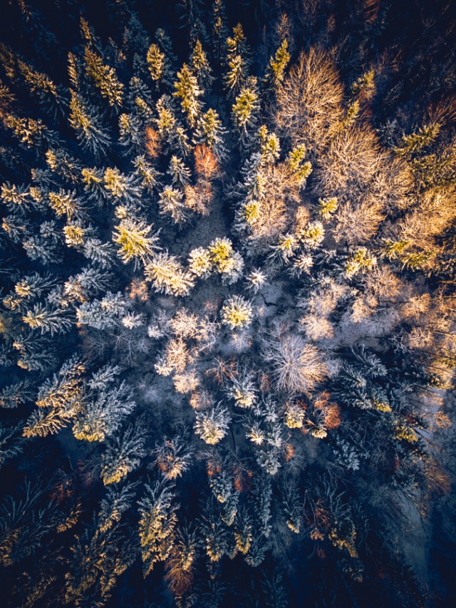 Fascinating Aerial Nature Photography by Tobias Hagg-4