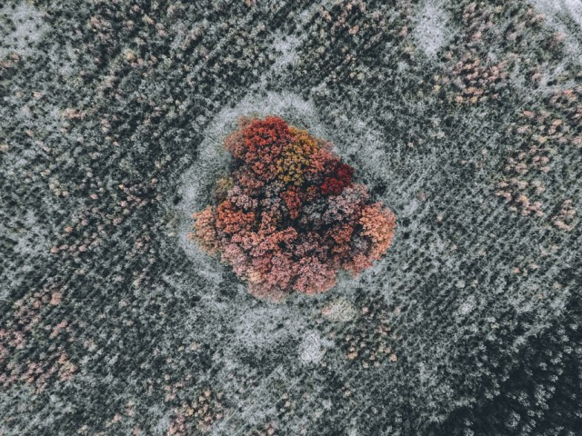 Fascinating Aerial Nature Photography by Tobias Hagg-7
