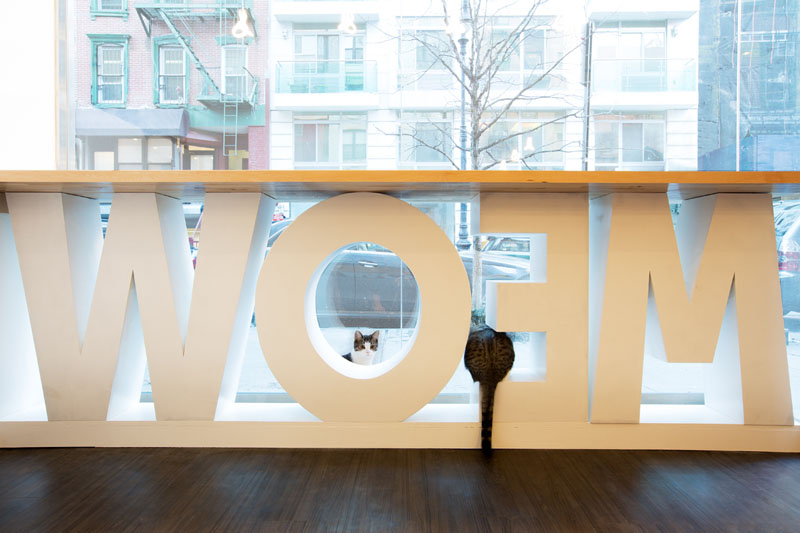 First Design Cat Café in NYC-1