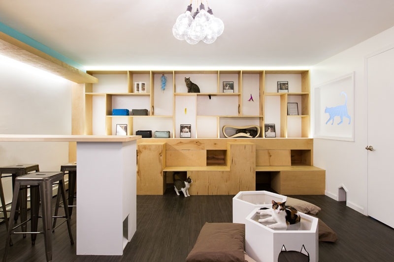 First Design Cat Café in NYC-3