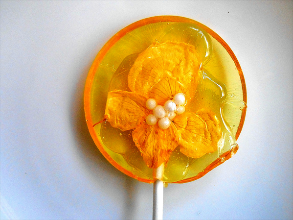 Funny Lollipops made with Real Flowers-7