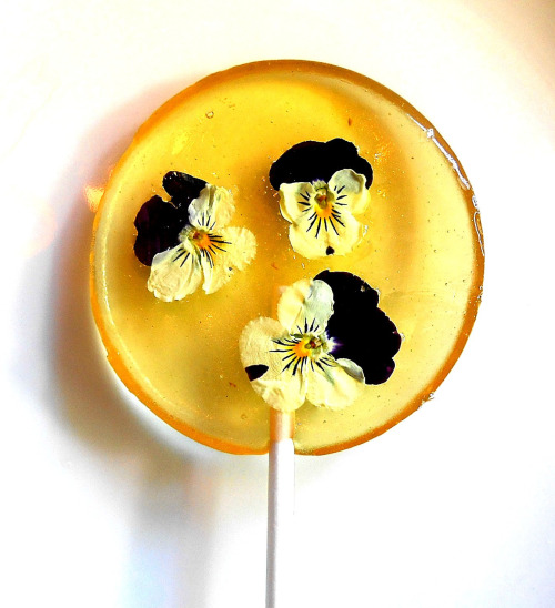 Funny Lollipops made with Real Flowers-8