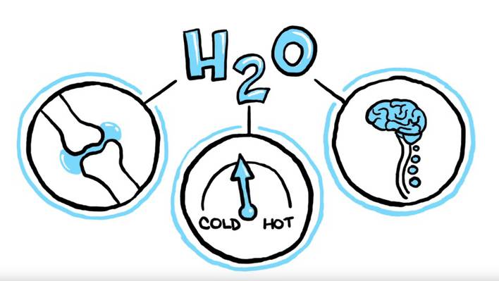 How Water is Important for Humans Animation