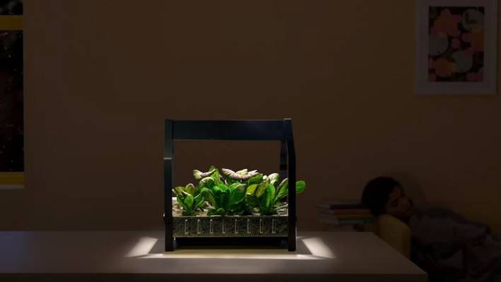 Ikea Installation for Indoor Gardeners