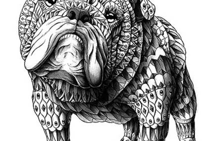 Impressive Ultra-Detailed Animals by Bioworkz