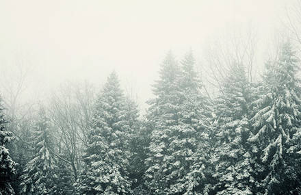 Impressive and Poetic Winter Scenes